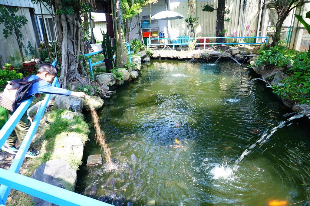 嶺東農場 (48).JPG