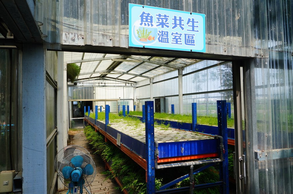 嶺東農場 (88).JPG