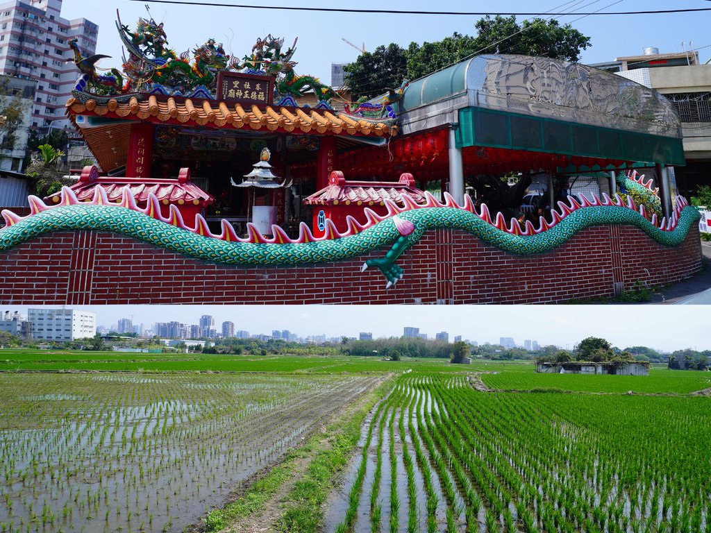 嶺東農場外面土地公廟.jpg