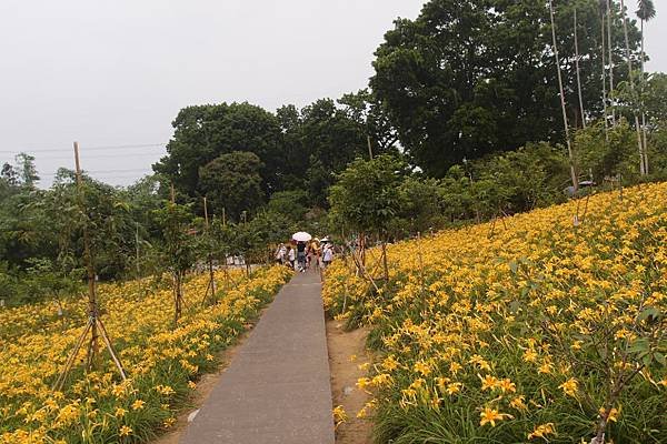 梅山鄉橫山屏休閒園區