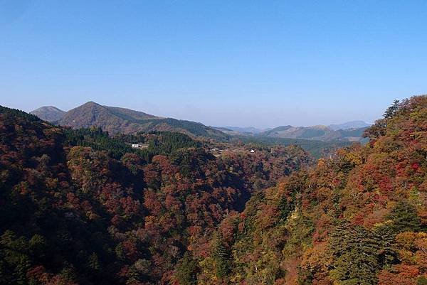 九州-九重夢大吊橋