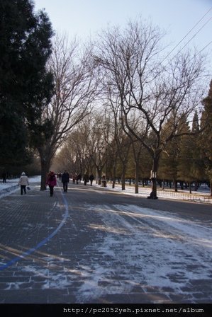 DSC01848.JPG