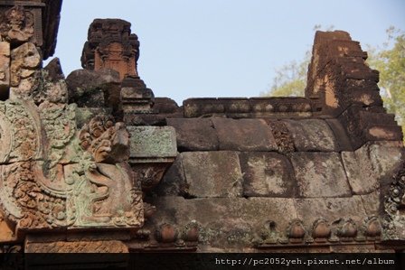 DSC00540 - 複製 - 複製.JPG
