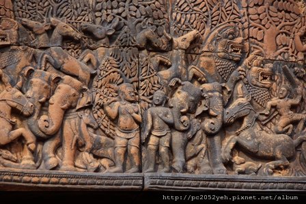 DSC00555 - 複製 - 複製.JPG