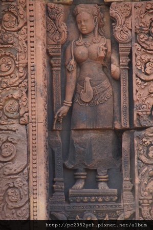 DSC00575 - 複製 - 複製.JPG