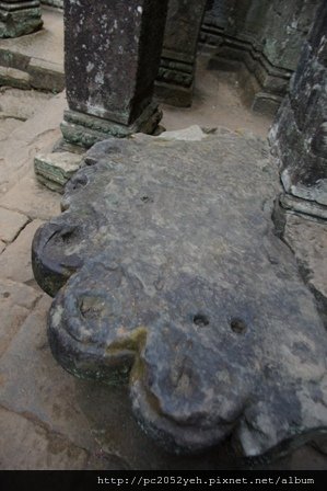 DSC00975.JPG
