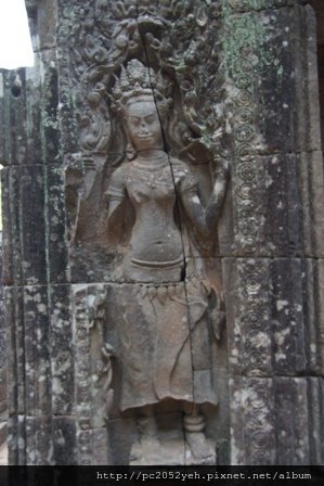 DSC01002.JPG