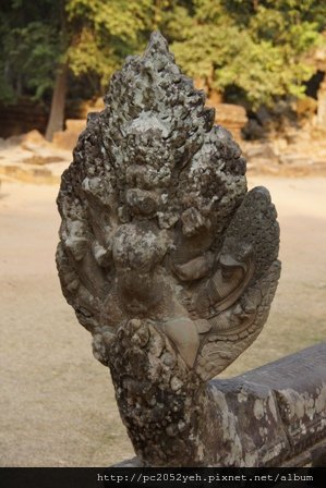 DSC01164.JPG