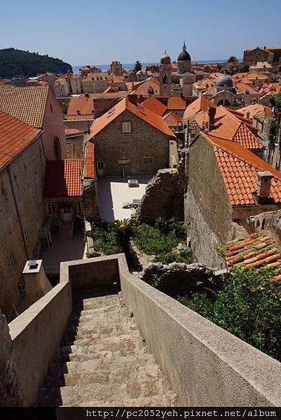 DSC00908.JPG