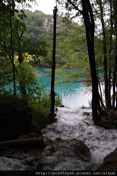 DSC01605.JPG