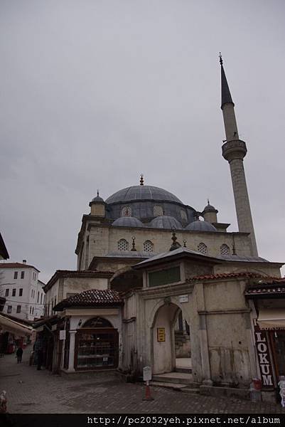 DSC00139.JPG