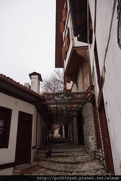 DSC00171.JPG