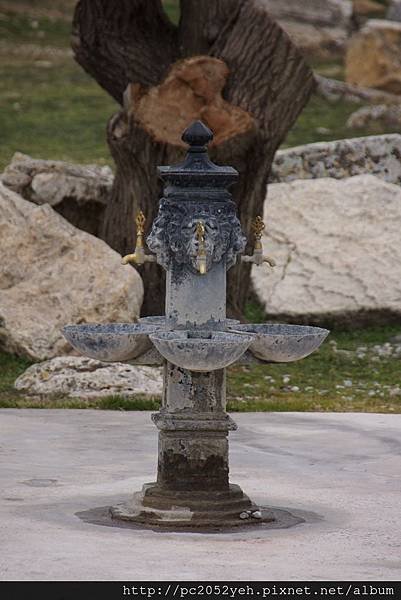 DSC01305.JPG