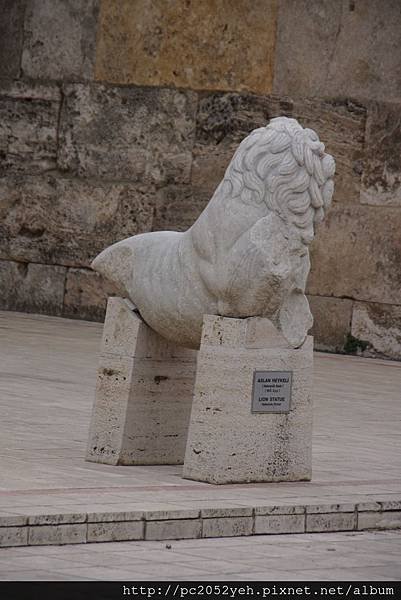 DSC01315.JPG