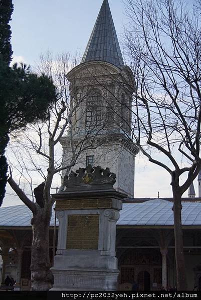 DSC01847.JPG