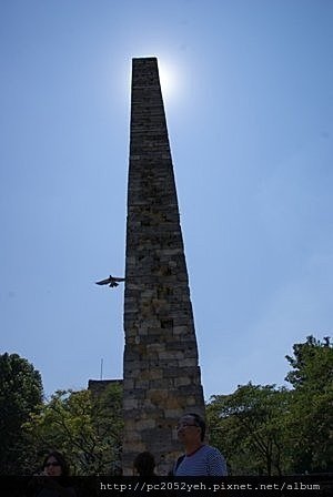 153082230.jpg