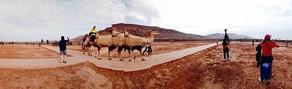 IMG_20180729_092335.jpg