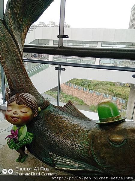IMG_20190121_120122.jpg