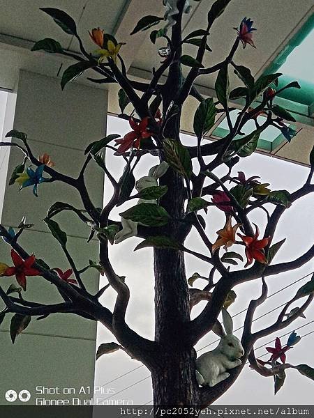 IMG_20190121_131110.jpg