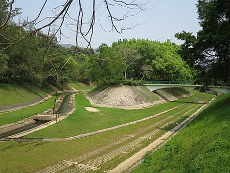 20．林村河 2014.04.13 大埔 003.JPG