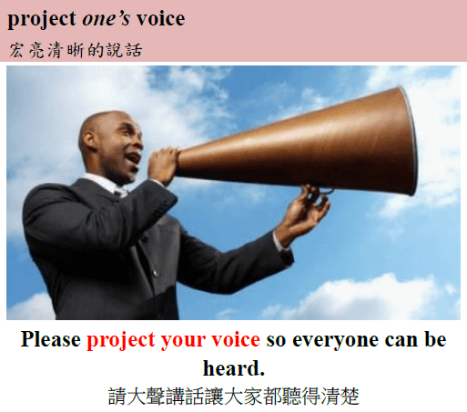 project voice