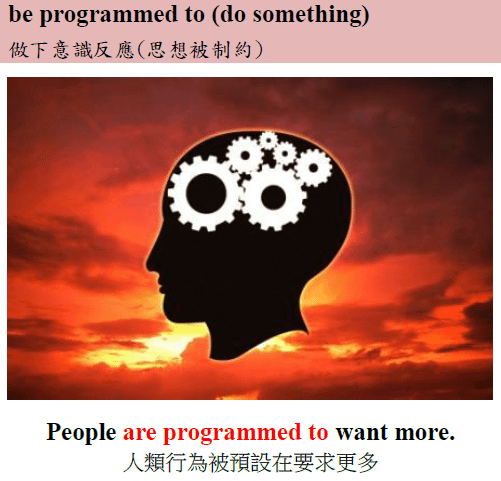 program