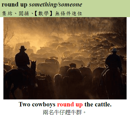 round up cattle