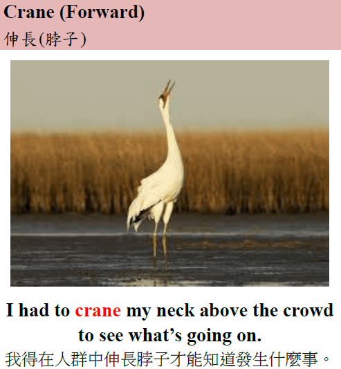 crane