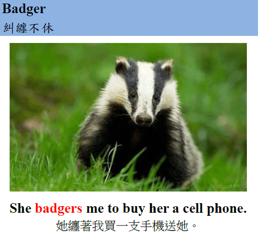 badger