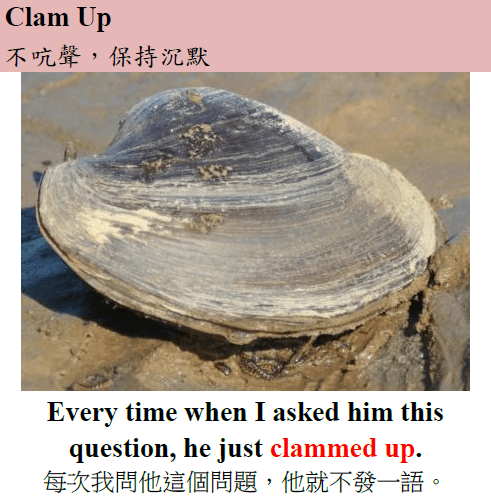 clam