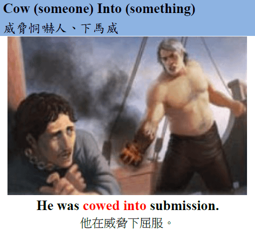 cow