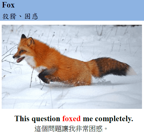 fox
