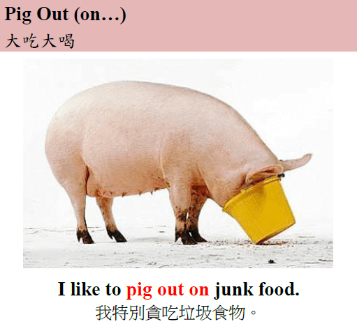 pig