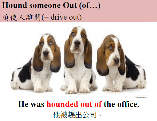 hound