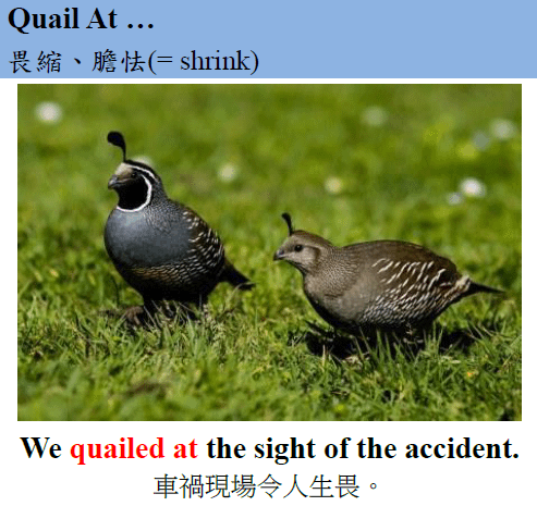quail