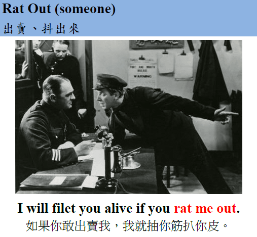Rat out