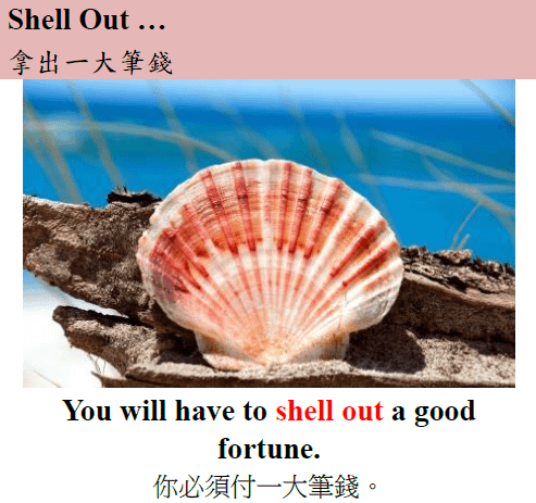 shell