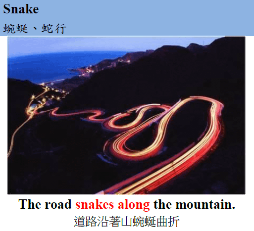 snake