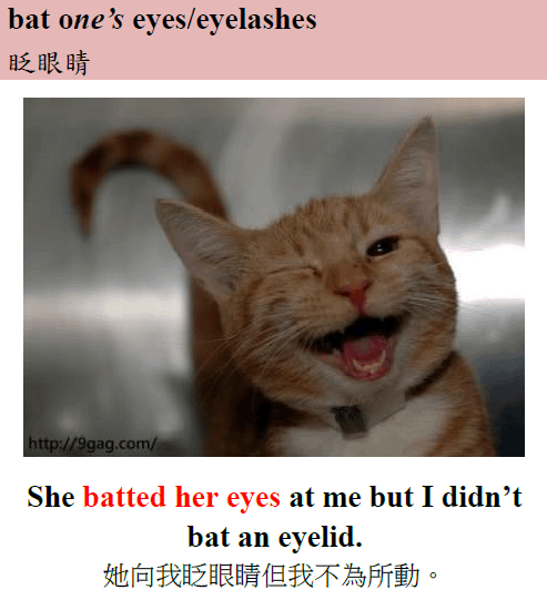 bat eyes