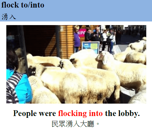 flock into