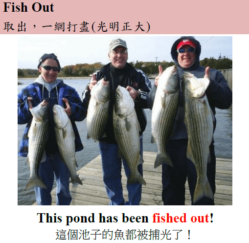 fish out