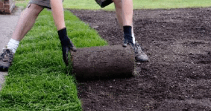 sod laying