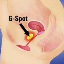 G-Spot