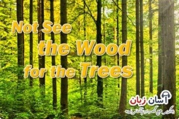 not-see-the-wood-for-the-trees