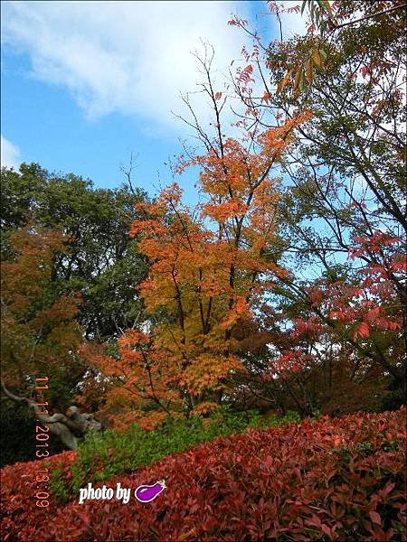 勸修寺 (1).JPG