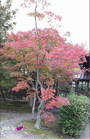 勸修寺 (6).JPG