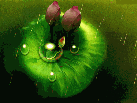 200102290_1122f5cf5d_o.gif