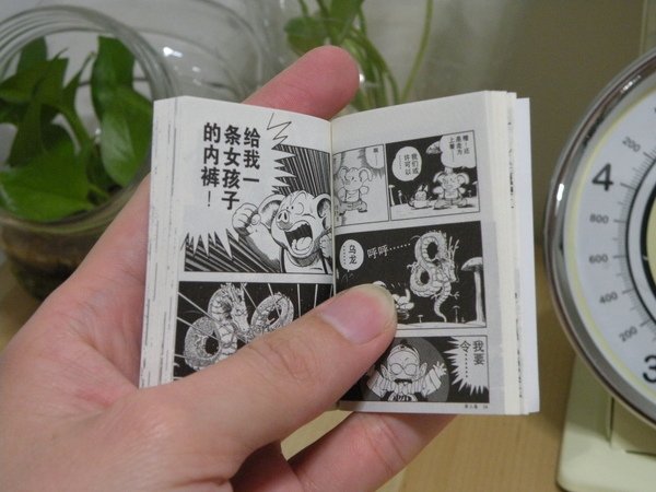 DSCN6535.JPG