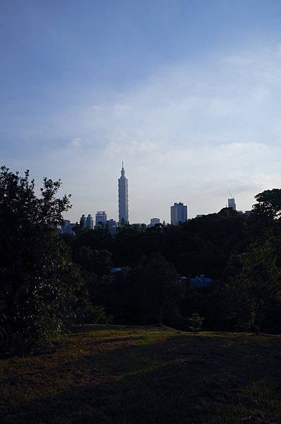 IMGP7395-31.jpg