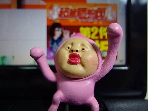 IMGP0028